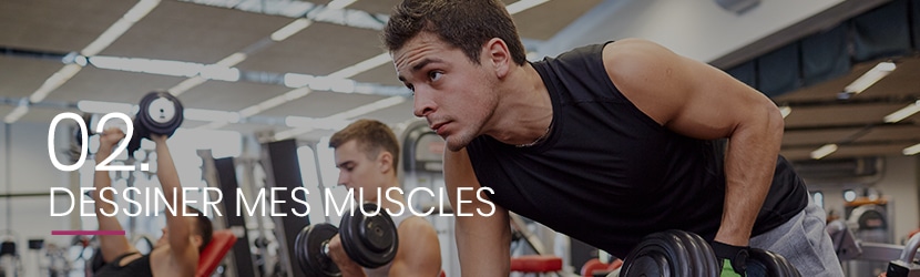 02. Dessiner mes muscles